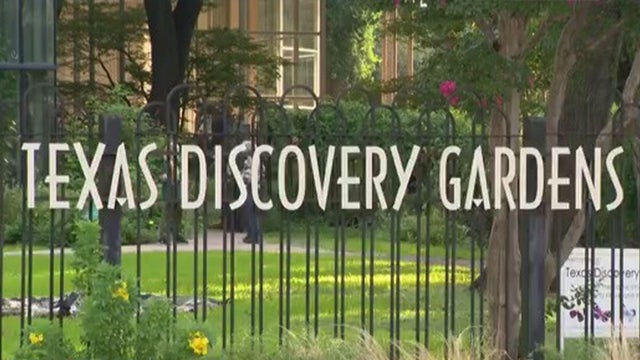 texas-discovery-gardens.jpg 