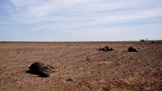 FILE PHOTO: Wildfires burn and prompt evacuations in Texas 