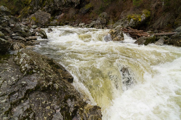 southfork-clearwater-river-idaho-johnwebster.jpg 