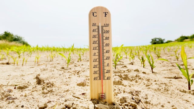 cbsn-fusion-texas-endures-triple-digit-temperatures-in-dangerous-heat-wave-thumbnail.jpg 