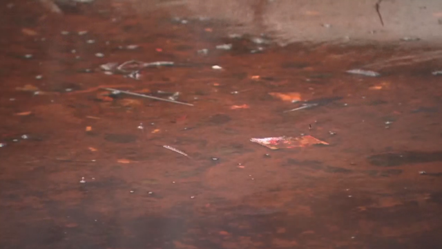 oil-spill.png 